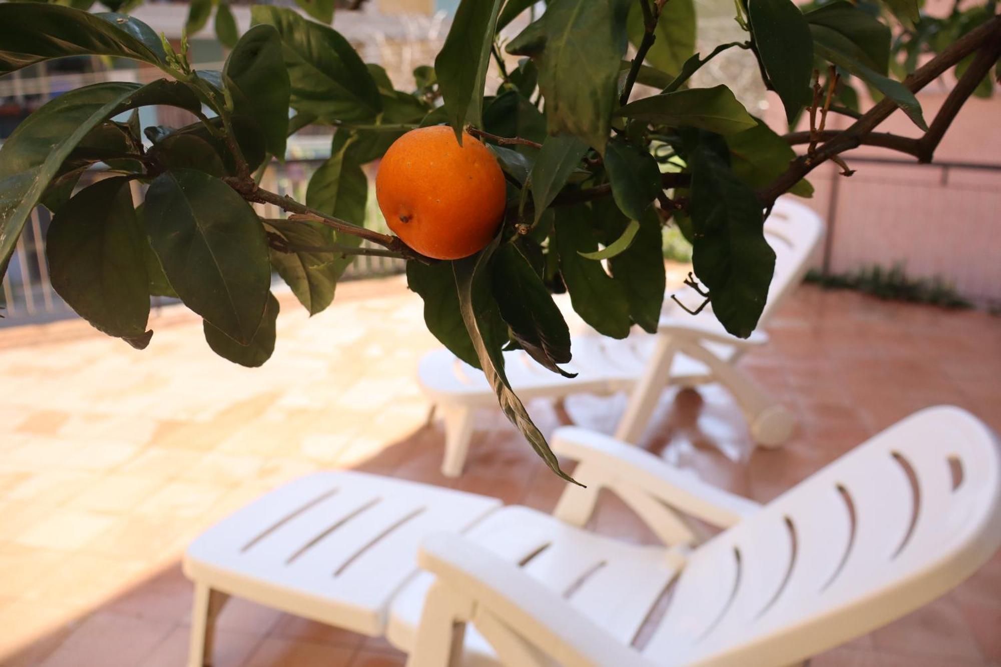 Giulio'S Terraces In The Bay Apartment ปอร์โตเวเนเร ภายนอก รูปภาพ